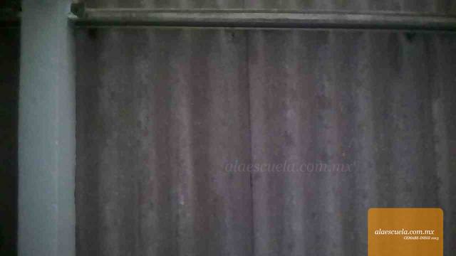 Entrada (vista previa)