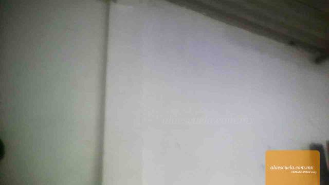 Entrada (vista previa)