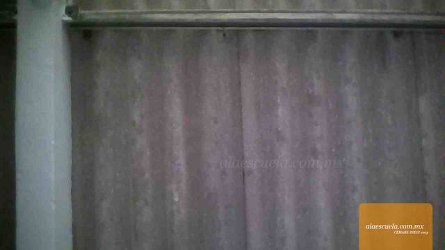 Entrada (vista previa)