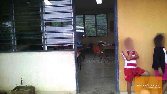 Entrada (vista previa)