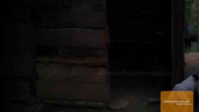 Entrada (vista previa)