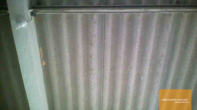 Entrada (vista previa)