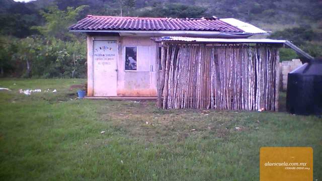 Entrada (vista previa)