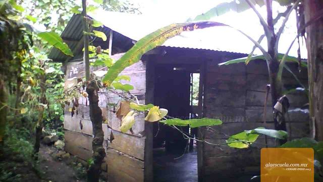 Entrada (vista previa)