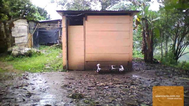 Entrada (vista previa)