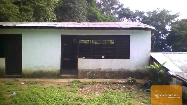 Entrada (vista previa)