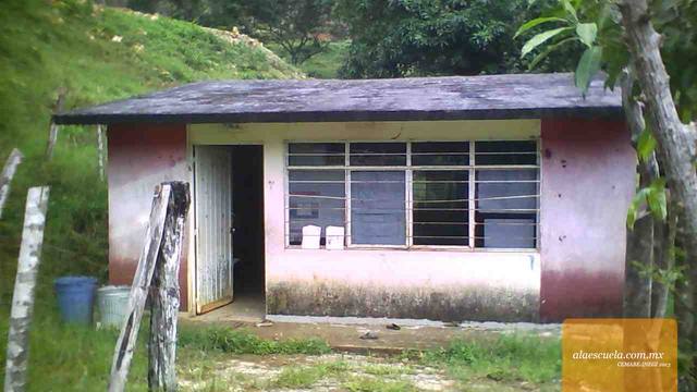 Entrada (vista previa)