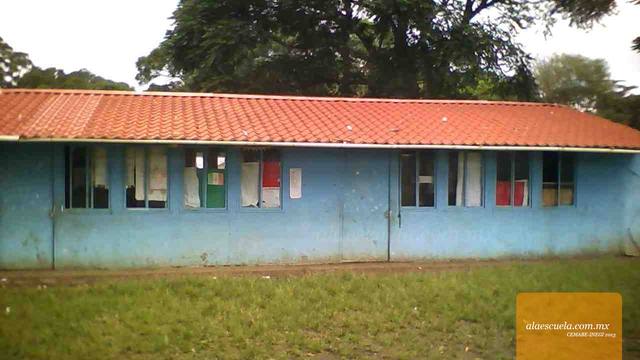 Entrada (vista previa)