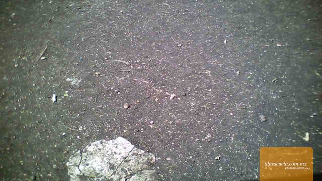 Áreas (vista previa)