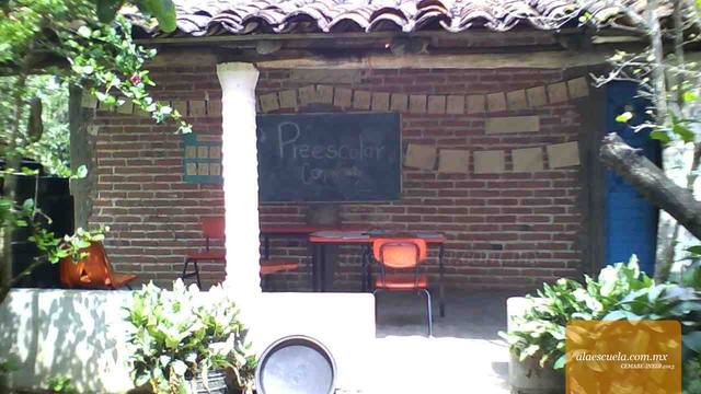 Entrada (vista previa)