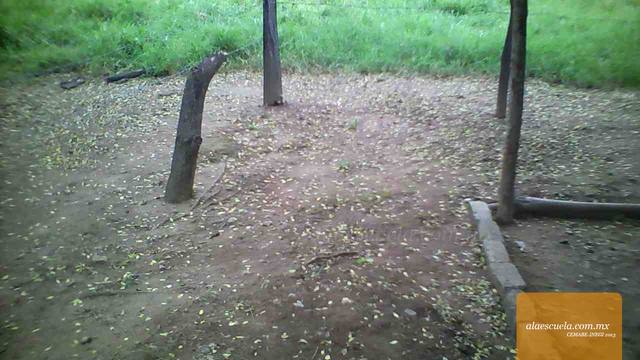 Áreas (vista previa)