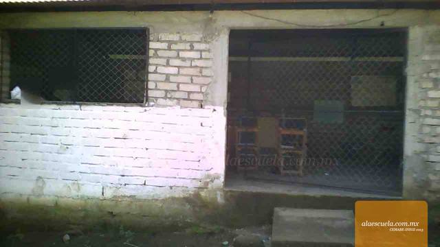 Entrada (vista previa)