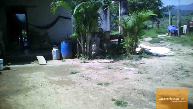 Entrada (vista previa)