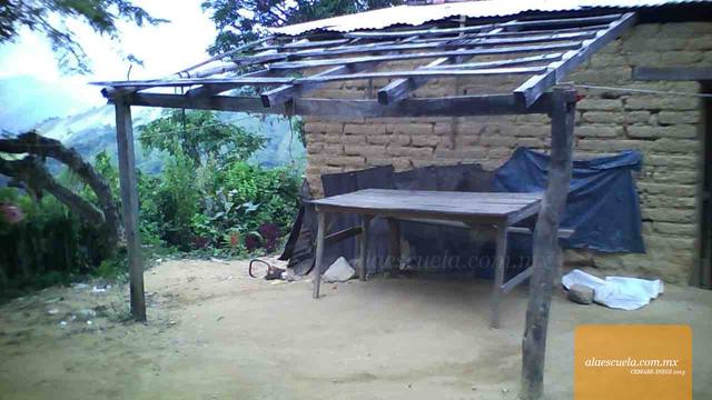 Entrada (vista previa)