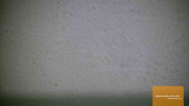 Entrada (vista previa)