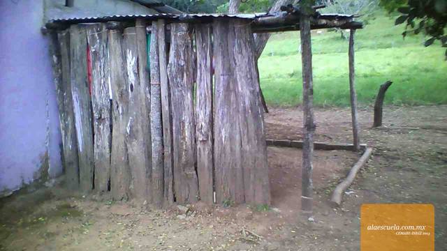 Entrada (vista previa)