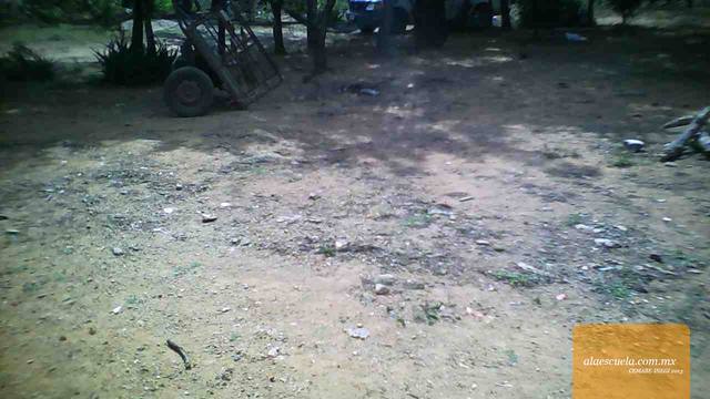 Áreas (vista previa)