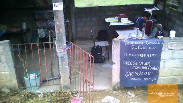 Entrada (vista previa)