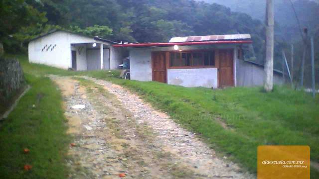 Entrada (vista previa)