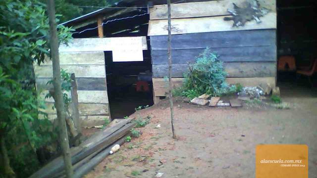 Entrada (vista previa)