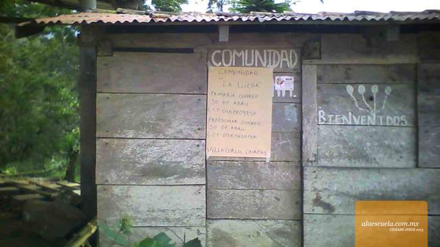 Entrada (vista previa)