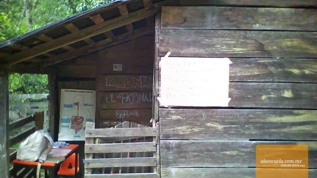 Entrada (vista previa)