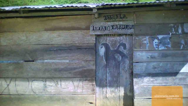 Entrada (vista previa)