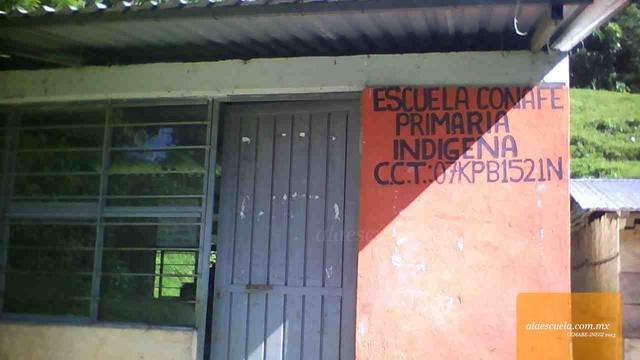 Entrada (vista previa)