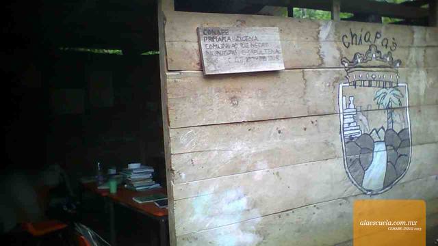 Entrada (vista previa)