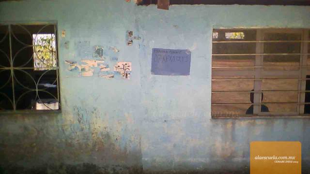 Entrada (vista previa)