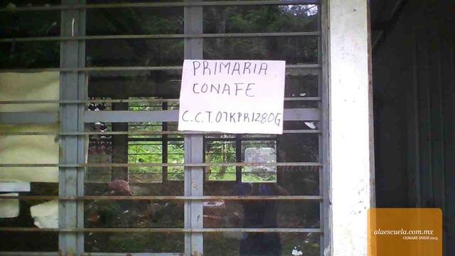 Entrada (vista previa)