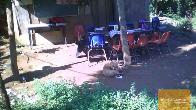 Entrada (vista previa)