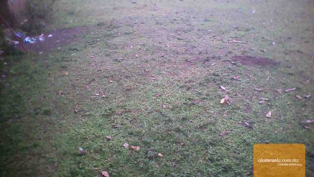 Áreas (vista previa)