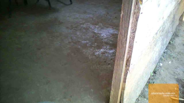 Entrada (vista previa)