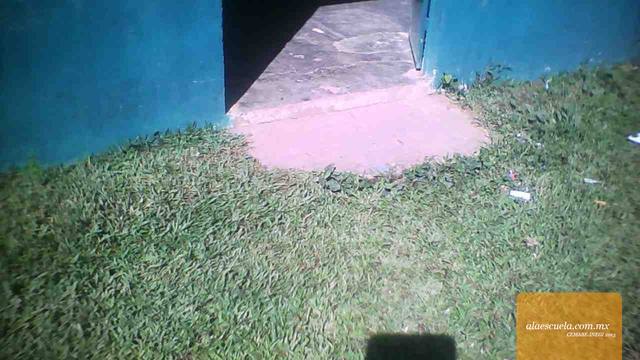 Entrada (vista previa)