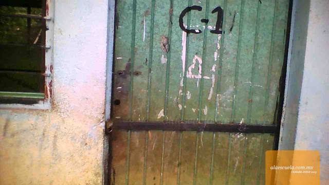 Entrada (vista previa)