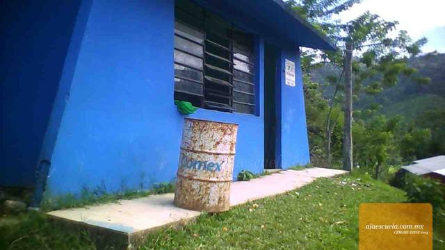 Entrada (vista previa)