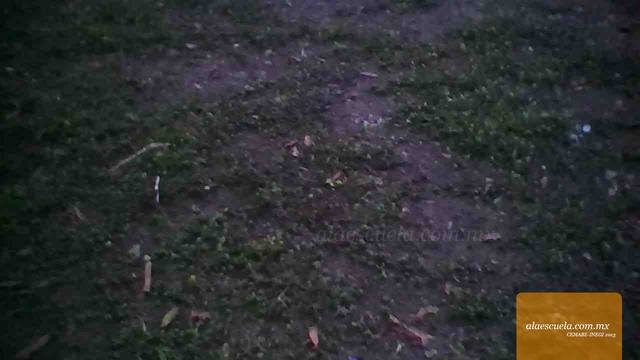 Áreas (vista previa)