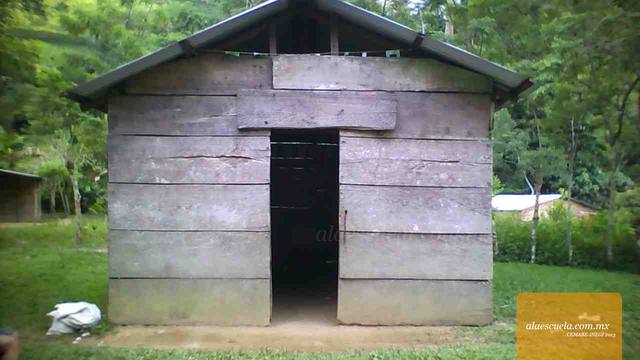 Entrada (vista previa)