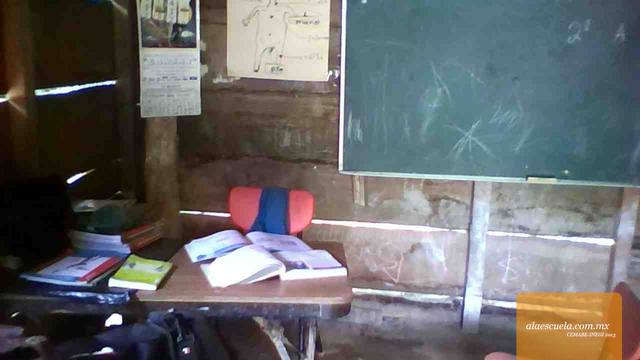 Entrada (vista previa)