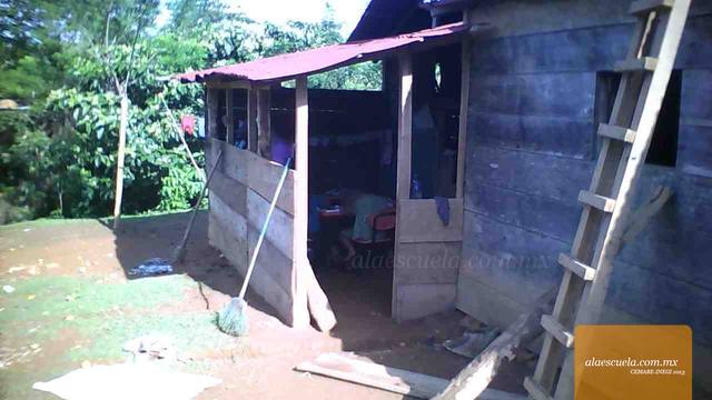 Entrada (vista previa)