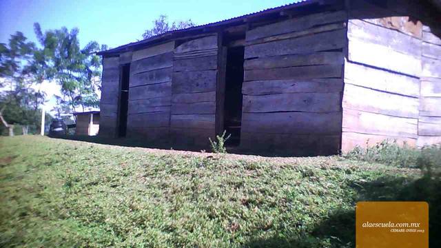 Entrada (vista previa)