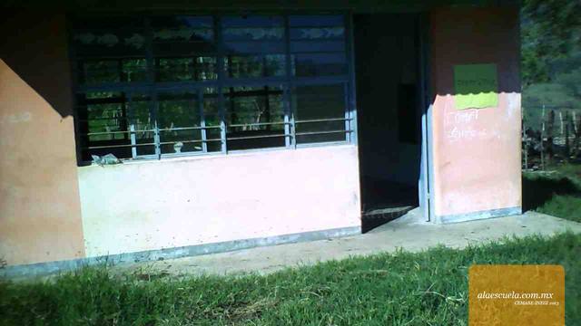 Entrada (vista previa)