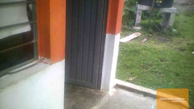 Entrada (vista previa)