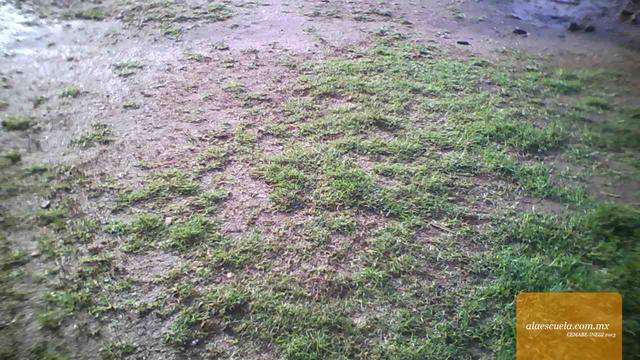 Áreas (vista previa)