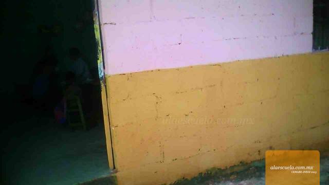 Entrada (vista previa)