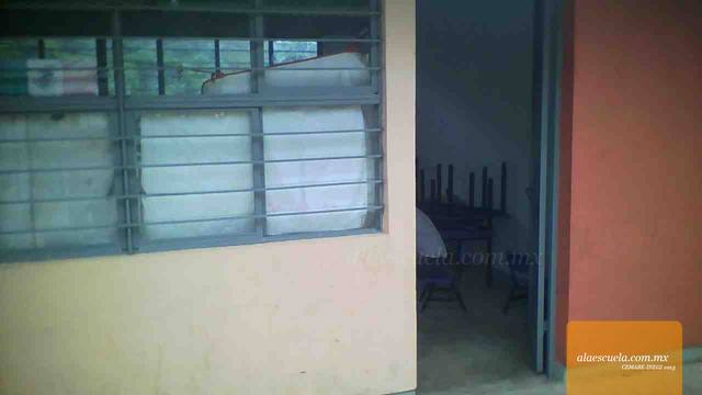 Entrada (vista previa)