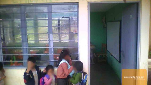 Entrada (vista previa)