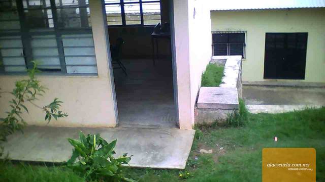 Entrada (vista previa)