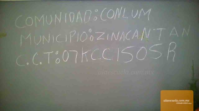 Entrada (vista previa)